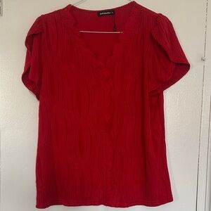 Just Fabulous Red Textured V-Neck Short Sleeve Blouse
